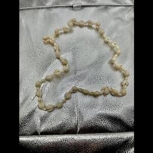 Natural Cowrie Shell Necklace